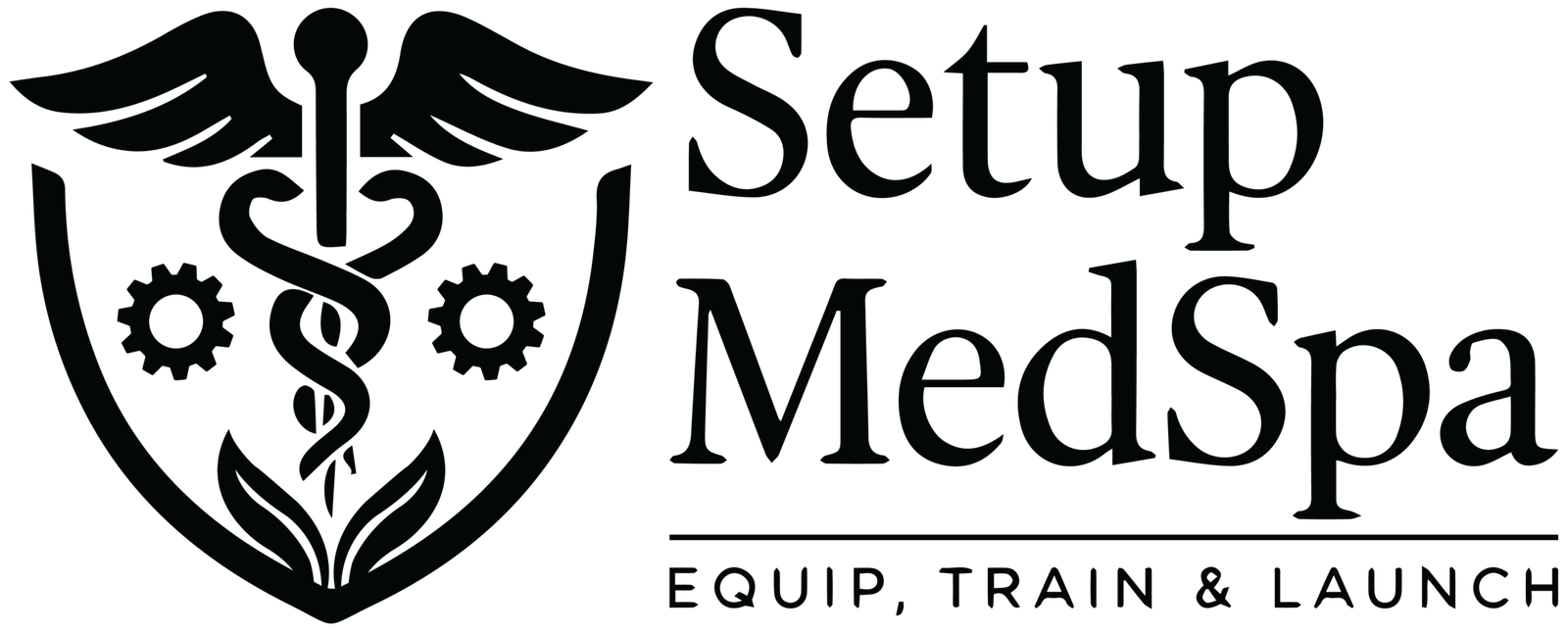 setupmedspa setupmedspa