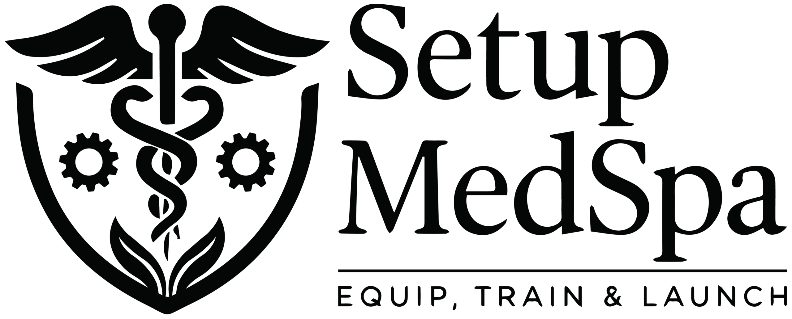 SetupMedSpa SetupMedSpa