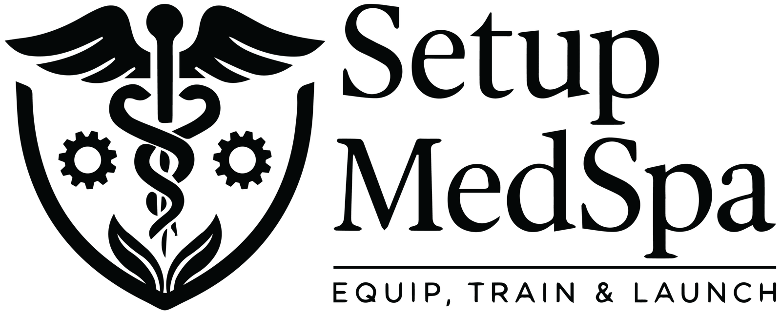 Setup MedSpa logo